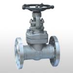 API602 Forged Steel Flange and Butt-welded Gate Valve